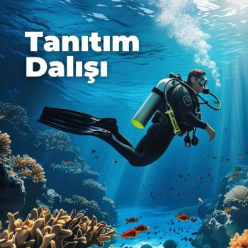 Tanıtım Dalışı