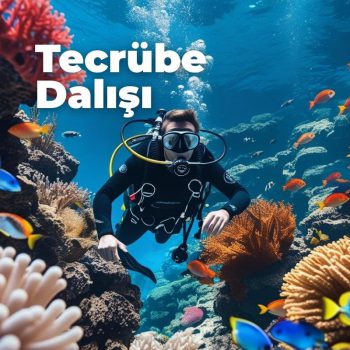 Tecrübe Dalışı